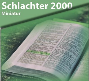 Schlachter 2000 Miniaturausgabe